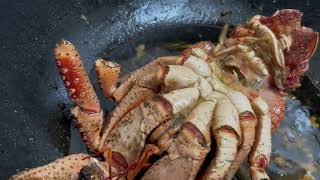 asmr foodlover exotic coconutcrab [upl. by Rissa882]