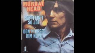 Murray Head  Say it aint so Joe 1975 [upl. by Ainatnas]