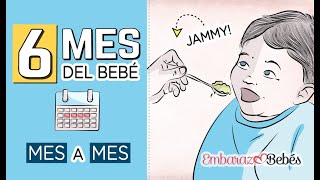 📆👶🏻 SEXTO MES del bebé  6 MES  Desarrollo y cuidados [upl. by Mandel]