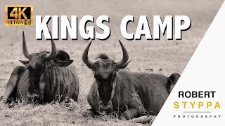 Kings Camp  Luxury Timbavati Safari Lodge [upl. by Hoeg253]