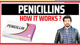 PENICILLINS  Classification  Medical Info  antibiotics antimicrobial antimicrobialresistance [upl. by Skipp5]