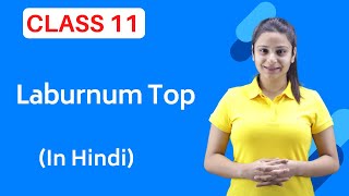 The Laburnum Top Class 11  Full हिन्दी में [upl. by Adnauqahs]