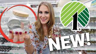 🔥 10 NEW Dollar Tree Organizers  HACKS you need🔥 [upl. by Anelem]