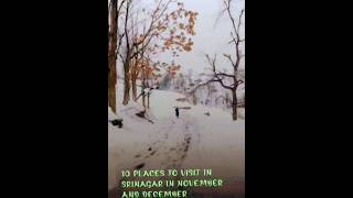 Top 10 Places To Visit In Srinagar In November And December india knowledge latest trending new [upl. by Merp560]