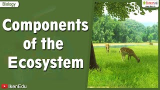 Components of the Ecosystem  Science videos  iKen  iKen Edu  iKen App [upl. by Orran]