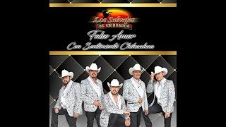 Los Salvajes de Chihuahua  Paloma Errante Feat Conjunto Río Grande 🕊 2018 [upl. by Molloy]