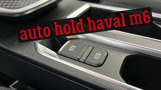 Электронный ручник и функция quotавтохолдquot на HAVAL M6  auto hold [upl. by Aerdnaxela]