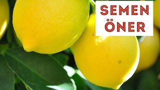 Limon Kabuğu Rendeleme  SemenOner Yemek Tarifleri [upl. by Stephanie]