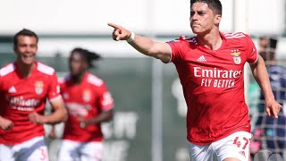 BENFICA soma e segue os Novos Reforços e Estratégias Futuras [upl. by Attennot334]