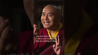 Experience in Meditation with Mingyur Rinpoche [upl. by Kciremed]