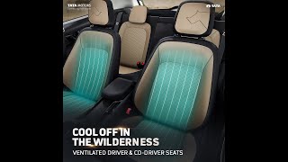 Tata Nexon Kaziranga Edition  Leatherette Ventilated Seats [upl. by Cherin551]