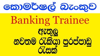 Latest commercial bank vacancies 2024  OL සහ AL ප්‍රමාණවත් [upl. by Flavius]