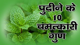 पुदीने के 10 चमत्कारी गुण  Benefits of Mint Leaves in Hindi [upl. by Eerak]