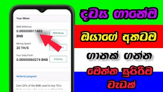 දවස ගානෙම ඔයාගේ අතටම ගානක් මෙන්න සුපිරිම වැඩක්❤️  Free Online Money Erning Site Sinhala 2024 BNB [upl. by Corinna193]