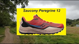 Saucony Peregrine 12 Reviewed and Tested on Multiterrain [upl. by Cirderf234]