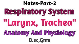 Notes Respiratory Systemquot LarynxTracheaquot  Anatomy and PhysiologyBscGnm [upl. by Aihsinat]