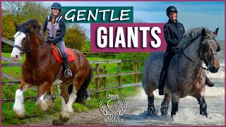 Gentle Giants  AwardWinning Film  Meet Amazing Draft Horses [upl. by Sidnee]