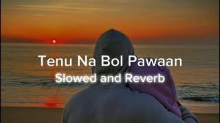 Tenu Na Bol Pawaan°• song slowed  reverb [upl. by Singer231]