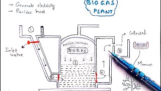 Methane production  Biogas plant  Working  Mechanism  Methanogens  Biogas production [upl. by Scherman]