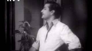 nee sigge singarame oh cheli song in ntr bhagyarekha [upl. by Arekat]