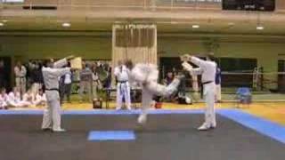 Taekwondo 540 Round House and Hook Kick Board Break [upl. by Essyle]