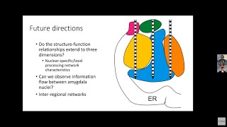 quotExamining mesoscopicscale networks in the primate amygdala using linear electrode arraysquot Webinar [upl. by Latsyrd463]