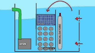Come FUNZIONA un FILTRO Per ACQUARIO [upl. by Issej43]