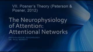 Neurophysiology of Attention Attention Networks [upl. by Earazed]