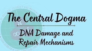 DNA Damage and Repair Mechanisms [upl. by Katalin]