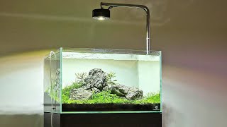 Iwagumi Aquascape and Kessil A360X Tuna Sun first look [upl. by Tunk]