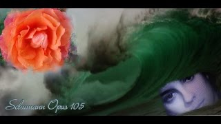 Robert Schumann Sonata Opus 105 Violin amp Piano aMoll full version [upl. by Duhl556]