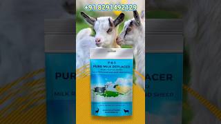 Milk Replacer for Goats Kid kid bakra goat topqualitykotagoat farming [upl. by Slocum]