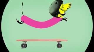 Wiener Dog Riding A Skateboard Animation [upl. by Allegra]