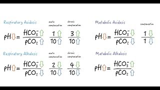 Easy rules for assessing metabolic compensation [upl. by Hanser375]