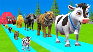 Paint amp Animals CowGorillaElephantGiraffeTigerLion Fountain Crossing Transformation Cartoon [upl. by Mloclam]