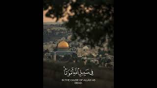 Quran Video فيديو القرآن Коран Видео Day يوم День 88 [upl. by Amlas410]