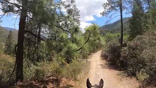 Caballo en Bosques de Monterreal [upl. by Caitrin]