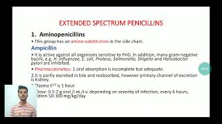 107 Beta lactam Antibiotics [upl. by Hasila193]