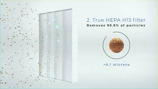 Medify Air MA 25 Air Purifier for Homes Schools and Offices [upl. by Elyk]