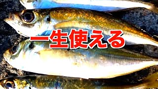 知らないと絶対釣れない漁港極上アジの釣り方公開 [upl. by Aniz]