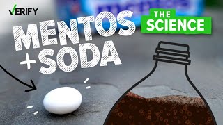 VERIFY The Science Behind Why Mentos Makes Soda Explode [upl. by Emera]