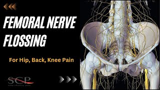 Femoral Nerve Flossing for Hip Back Knee Pain [upl. by Terrej168]