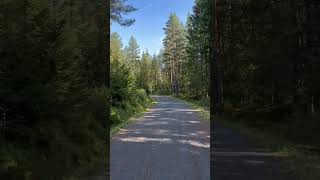 Relaxing bike ride in the woods of Oslo nature asmr [upl. by Berfield]