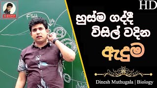 ඇදුම රෝගය  Asthma  ආසාත්මිකතා  Allergy  Dr Dinesh Muthugala  AL Biology [upl. by Ranna]