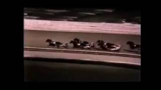 1981 Yonkers Raceway WILDWOOD JEB Cane Pace 2nd Elimination [upl. by Gautea]