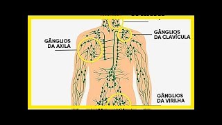 Welche Funktion haben die Lymphknoten und wo sind sie [upl. by Smiga]