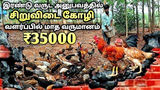 இரண்டு வருட அனுபவம் சிறுவிடை கோழி வளர்ப்பில் மாதம் 35000 வரை வருமானம்  madurai desi chicken farm [upl. by Thaine]