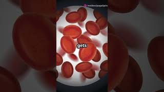 EMN blood group  a quick quide rare facts shorts [upl. by Reniti478]