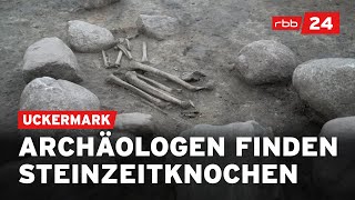 Steinzeitfund Archäologische Entdeckung in der Uckermark [upl. by Pelpel563]