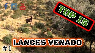 TOP 15 LANCES DE VENADO 2020  DEERHUNTING TOP SETS 1 [upl. by Eilrahs567]